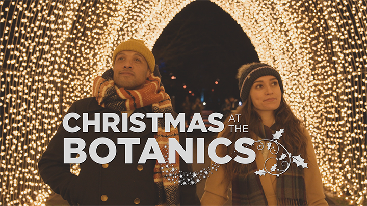Christmas at the Botanics TV ad