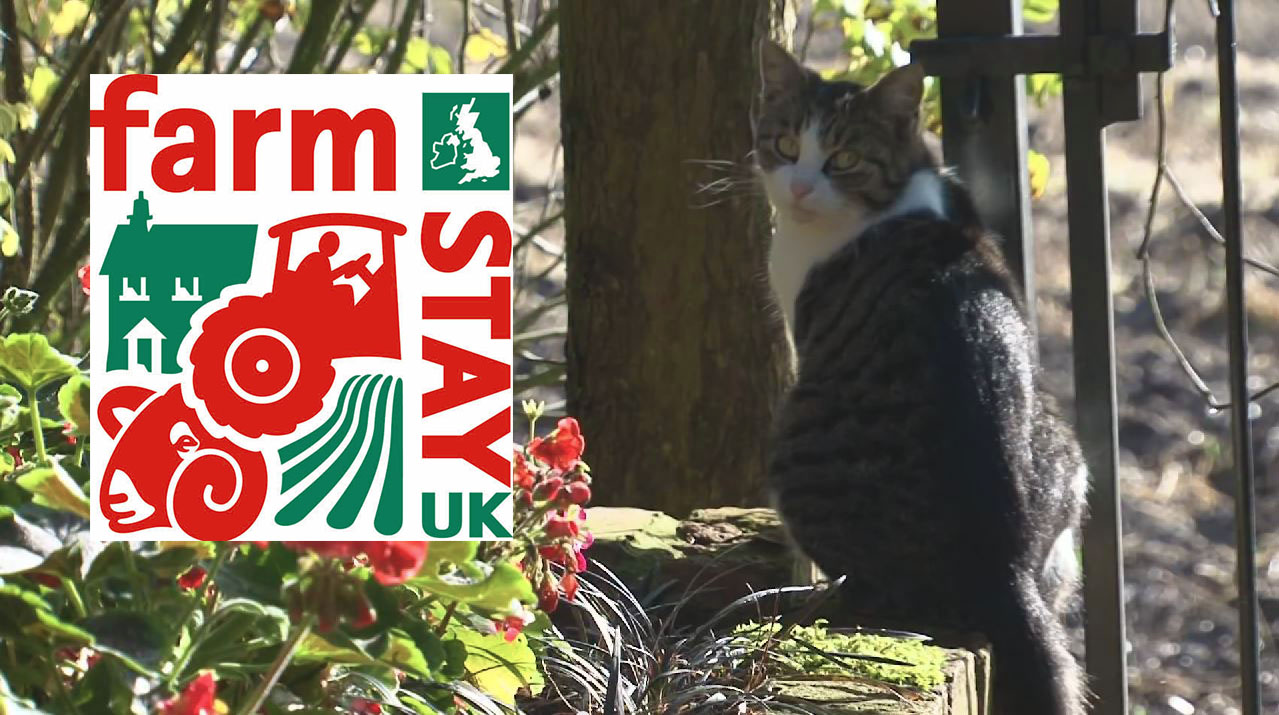 Wake up to the Heart of the Country - Windy Arbour